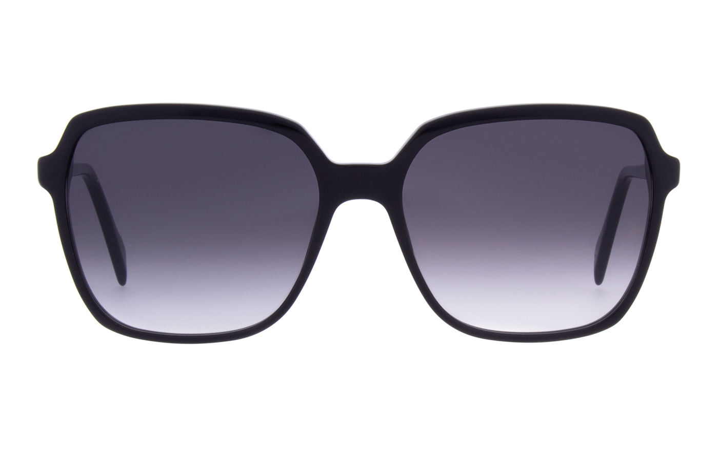 Andy Wolf  A Black 5516
