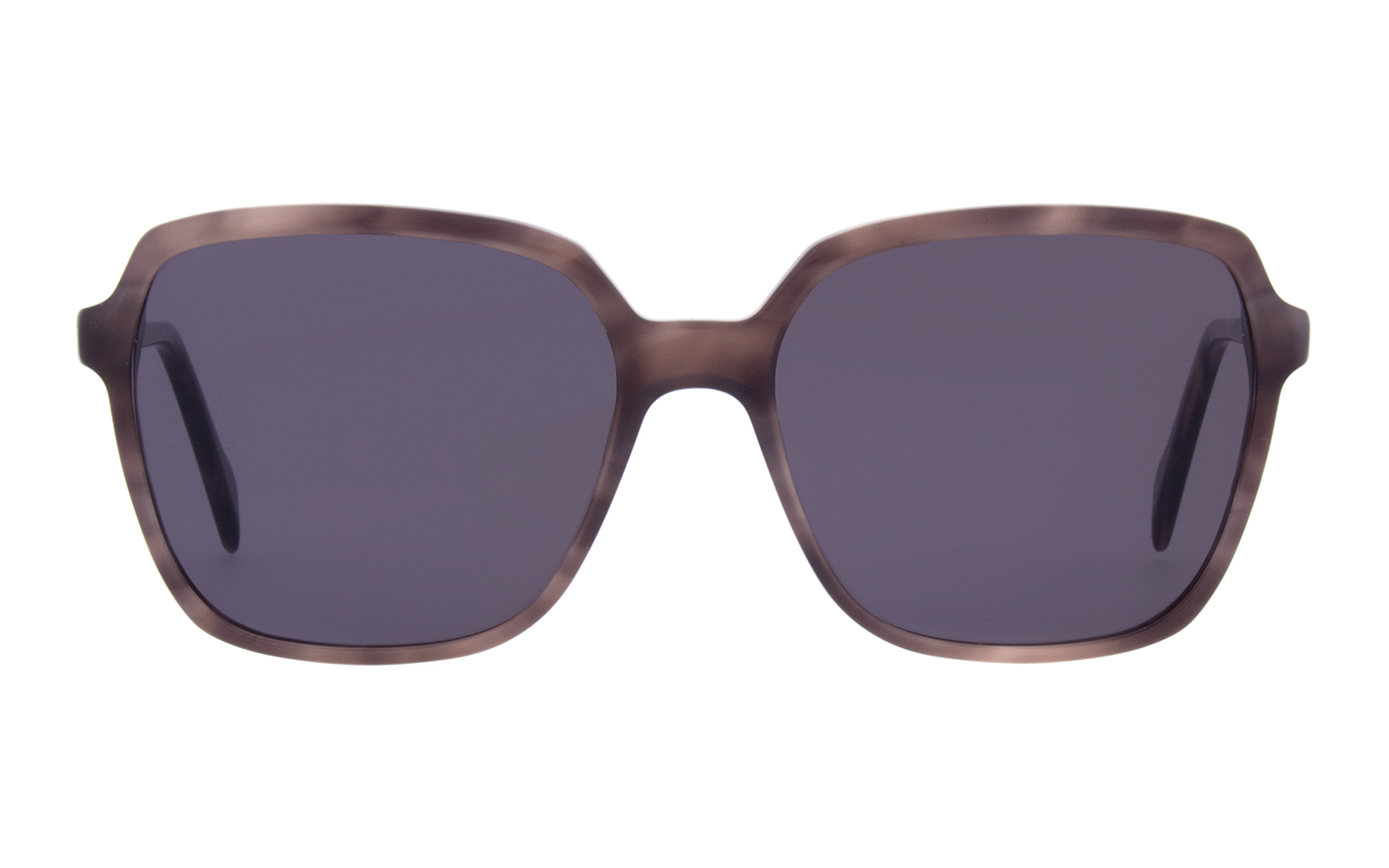 Andy Wolf  B Violet 5516