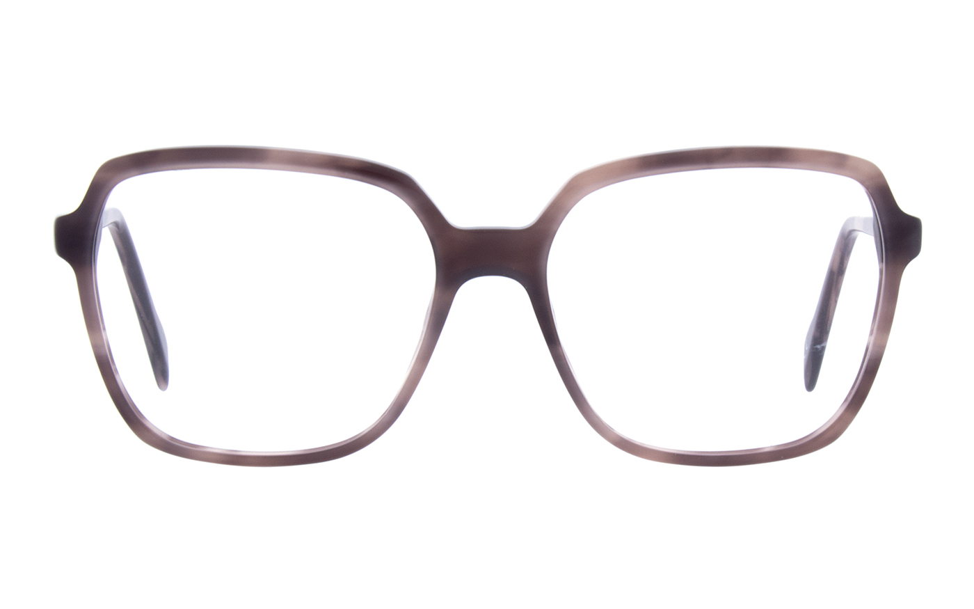 Andy Wolf  B Violet 5516