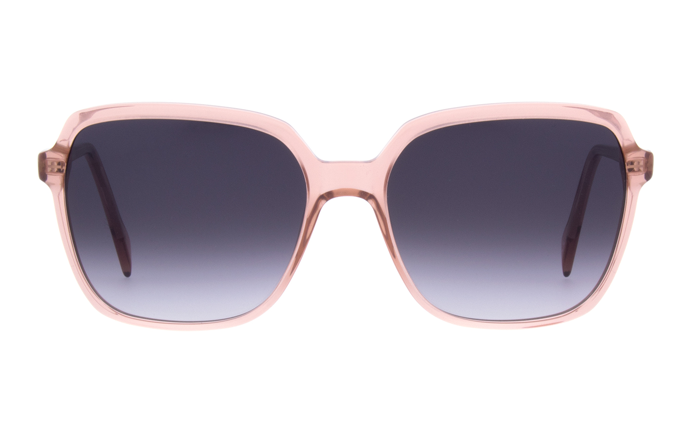 Andy Wolf  C Pink 5516