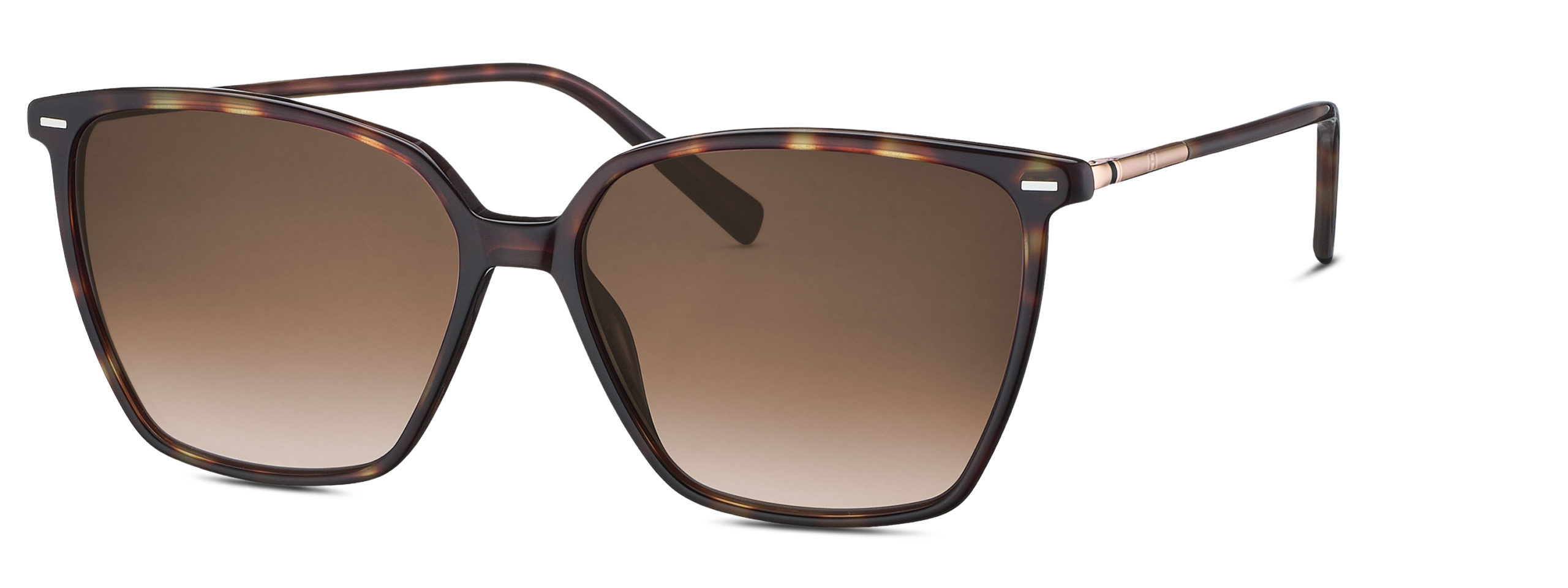 2024_07_585349602069-scaled