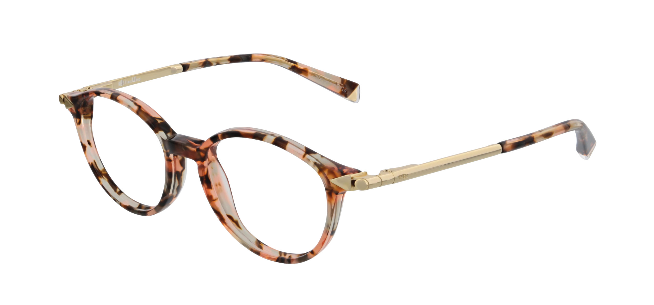 2024_08_ELAM010C70-scaled 2024_08_ELAM010C70-scaled