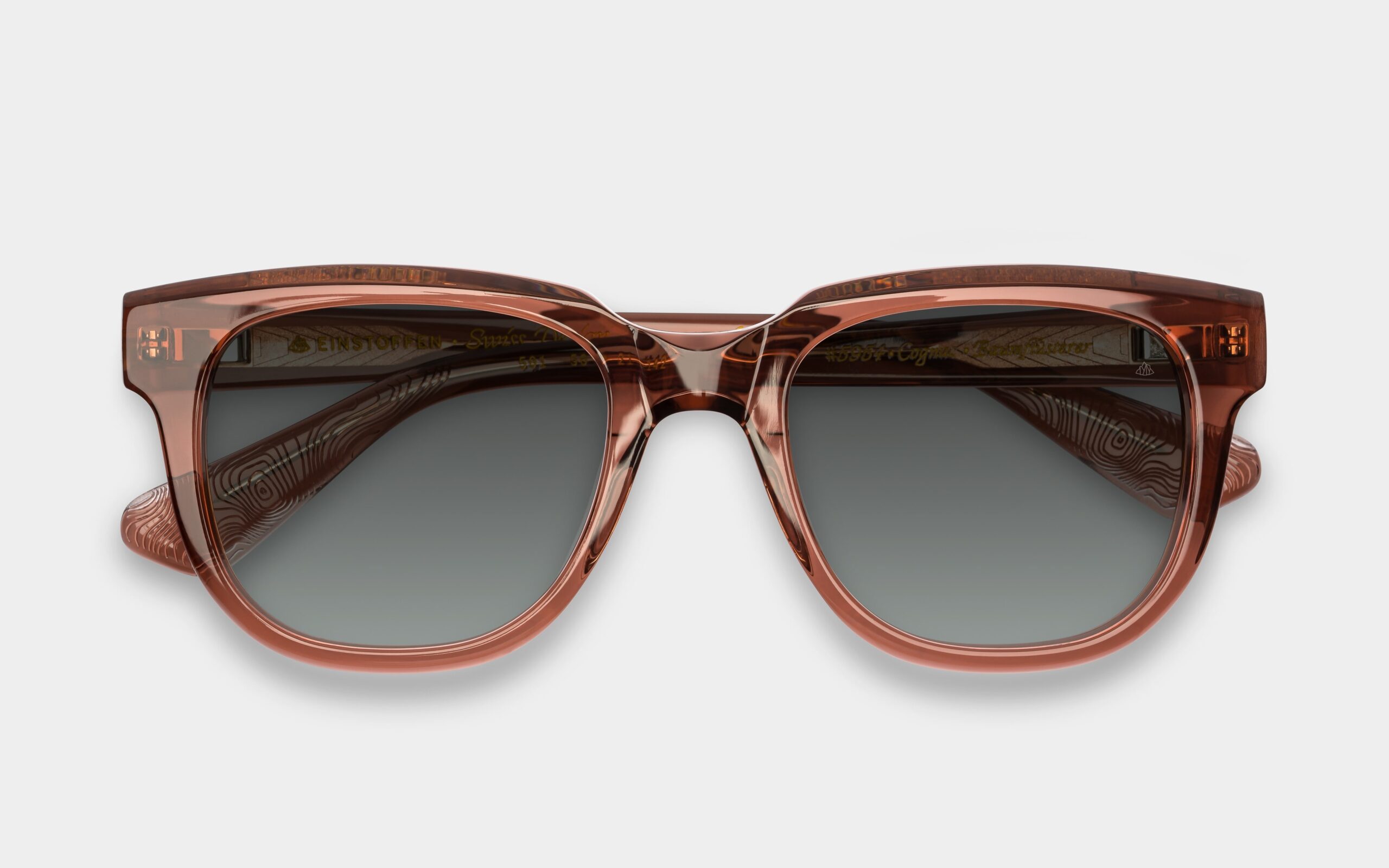 2024_09_baumflusterer_6028_901_3600.landscape-scaled