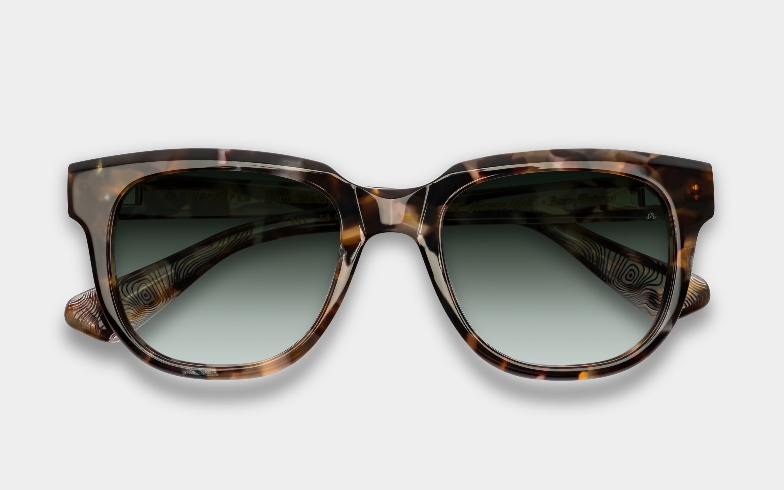 2024_09_baumflusterer_6029_903_3600.landscape-scaled 2024_09_baumflusterer_6029_903_3600.landscape-scaled