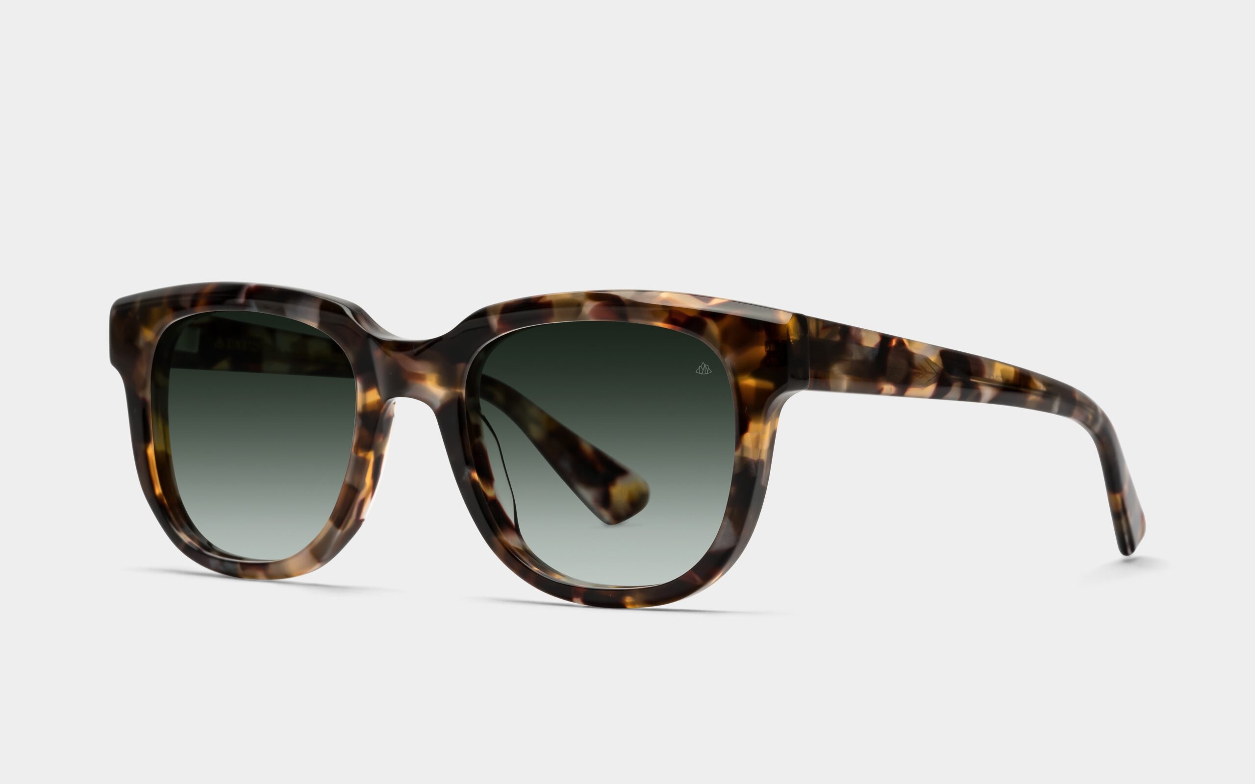 2024_09_baumflusterer_6029_904_3600.landscape-scaled 2024_09_baumflusterer_6029_904_3600.landscape-scaled