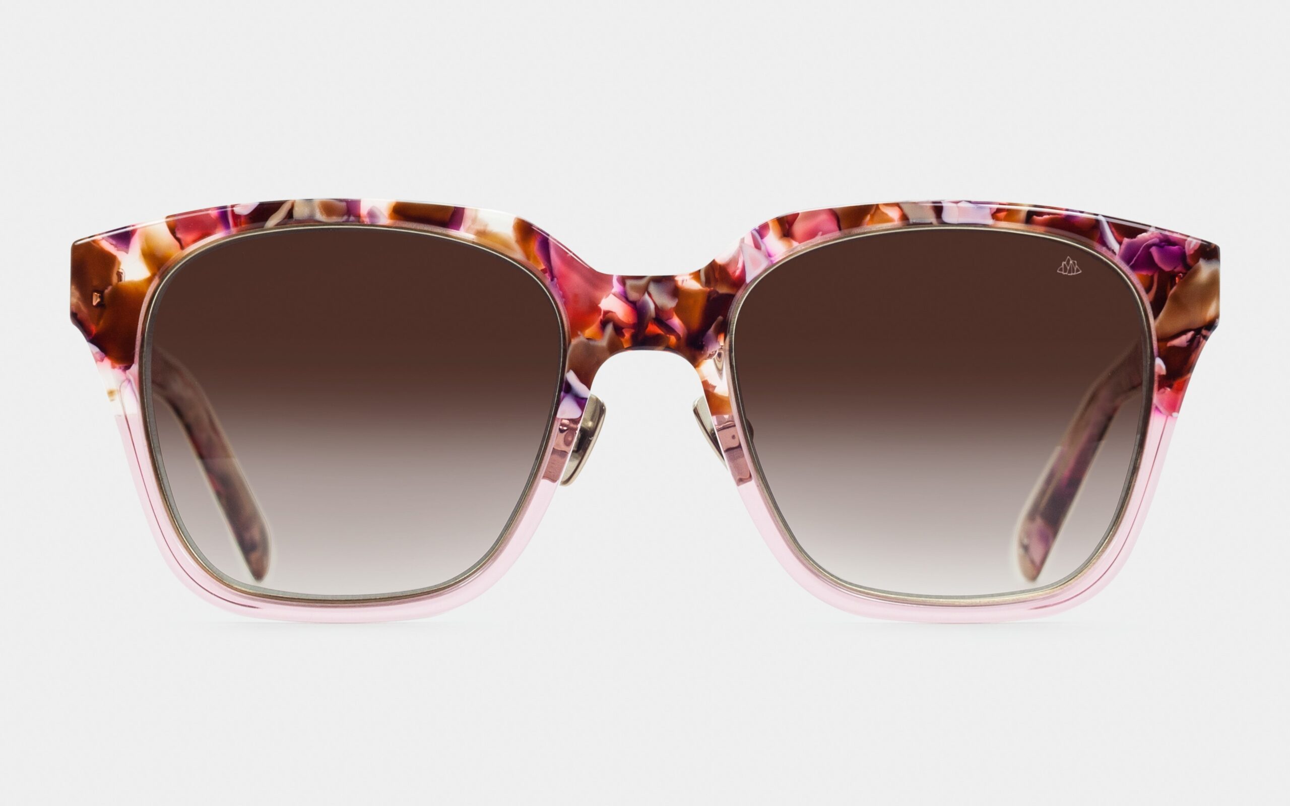 2024_09_spion_5388_1533_3600.landscape-scaled