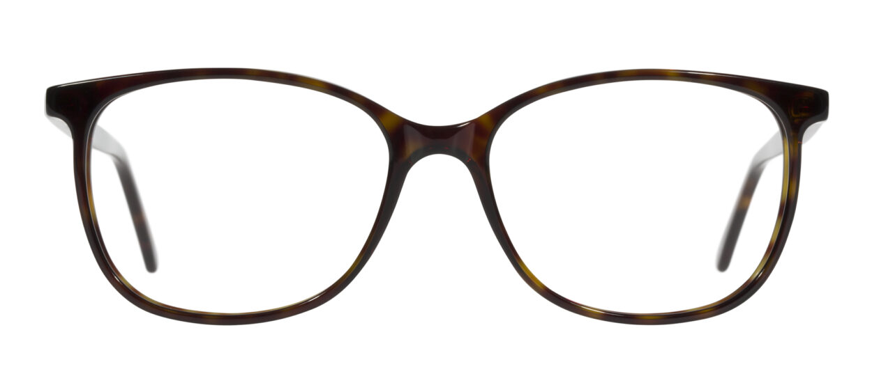 2024_12_5051_B_front-1260x540-1