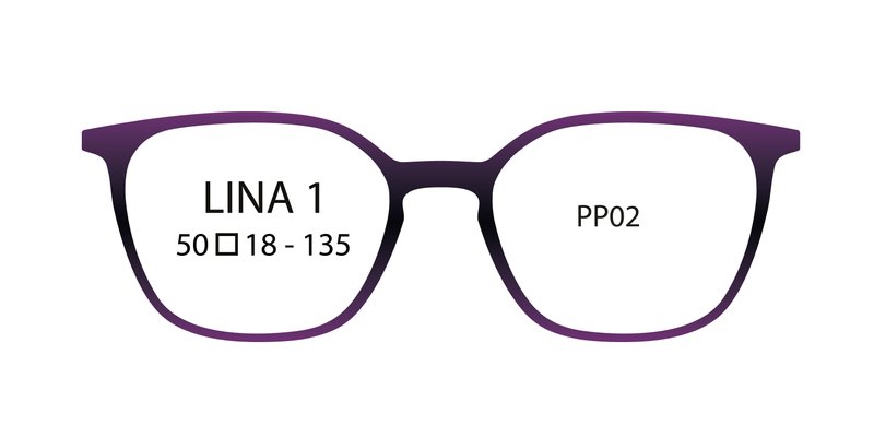 2025_02_3604771695099