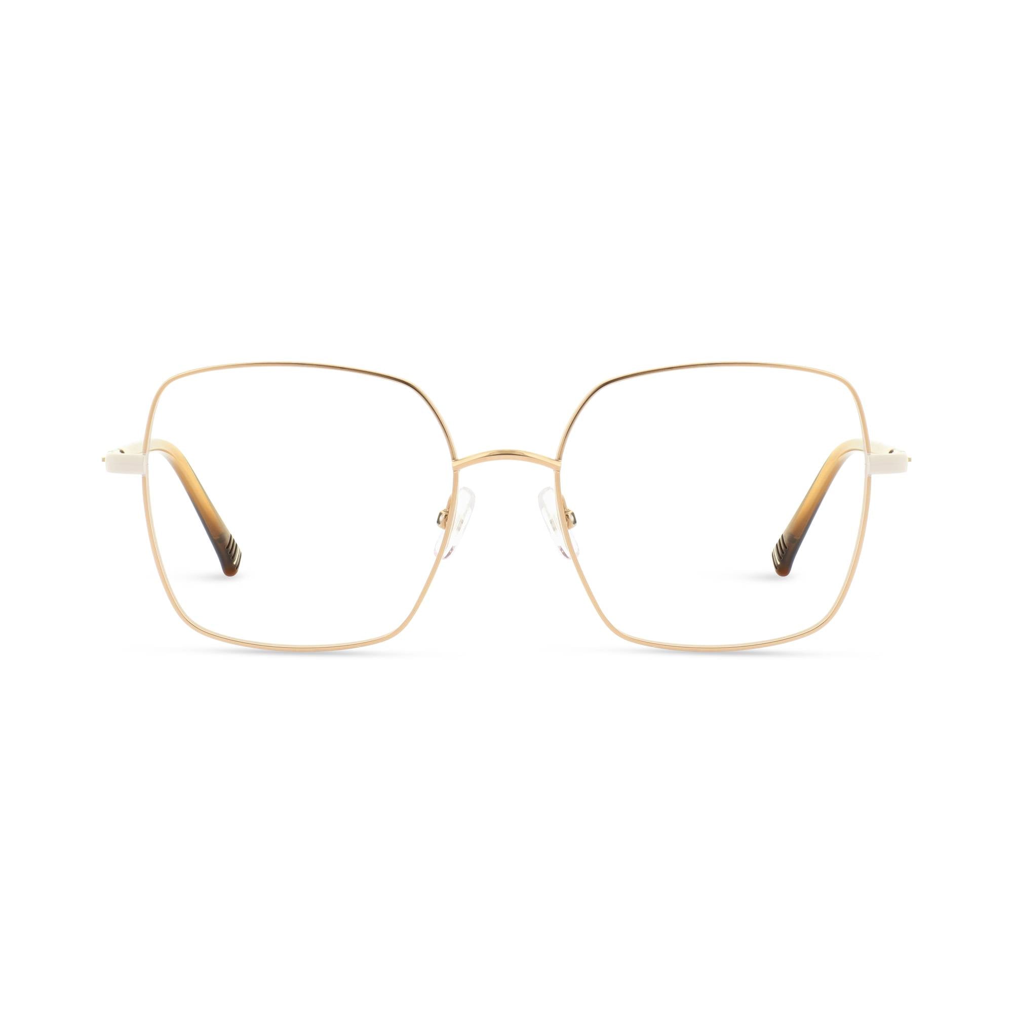 2025_02_3604771717562