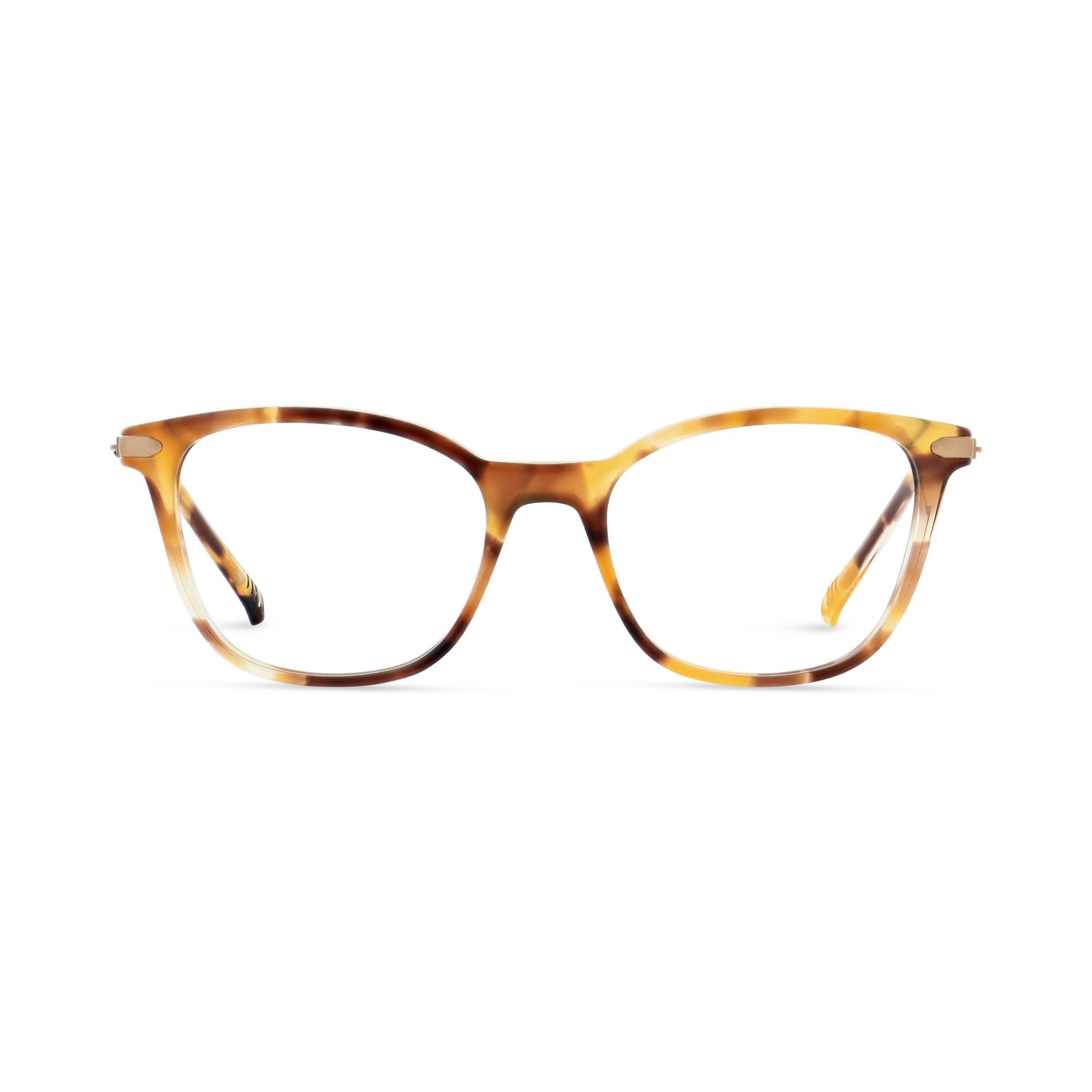 2025_02_3604771717616