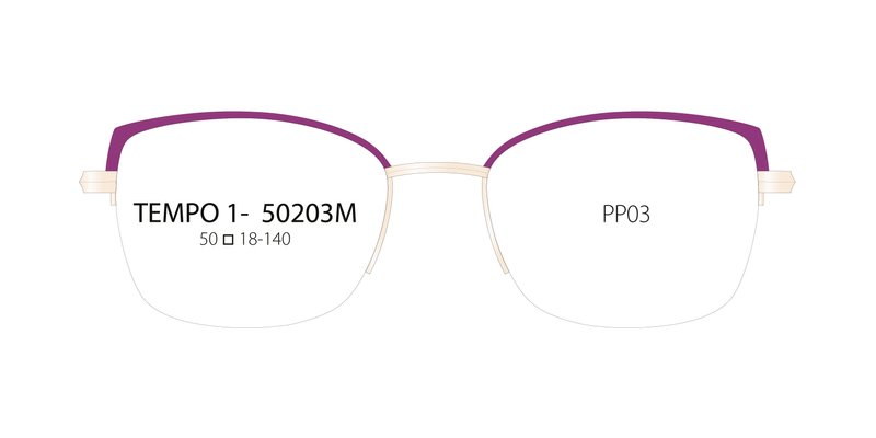 2025_02_3604771721279