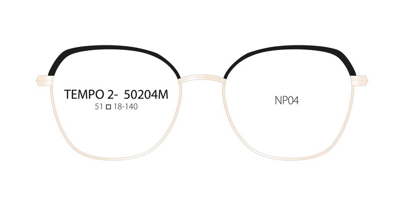 2025_02_3604771721309