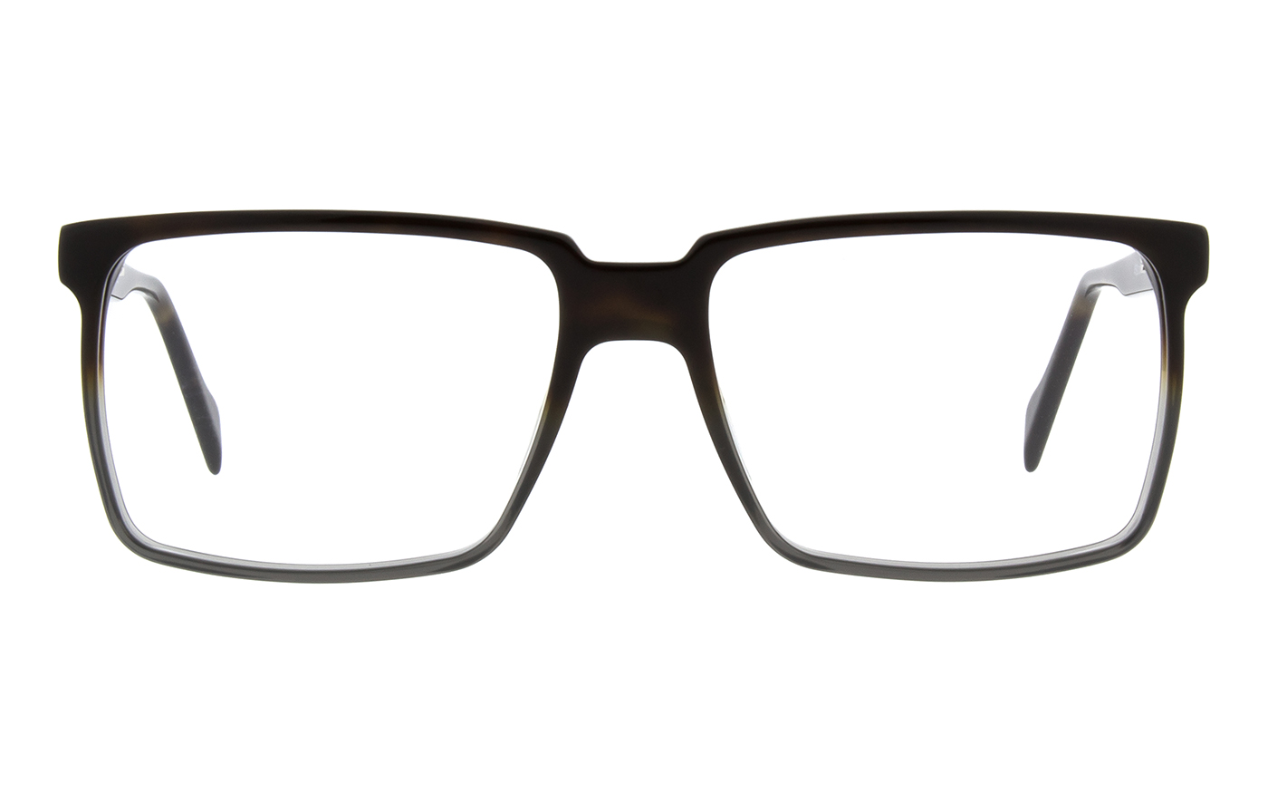 2025_02_4592_06_front