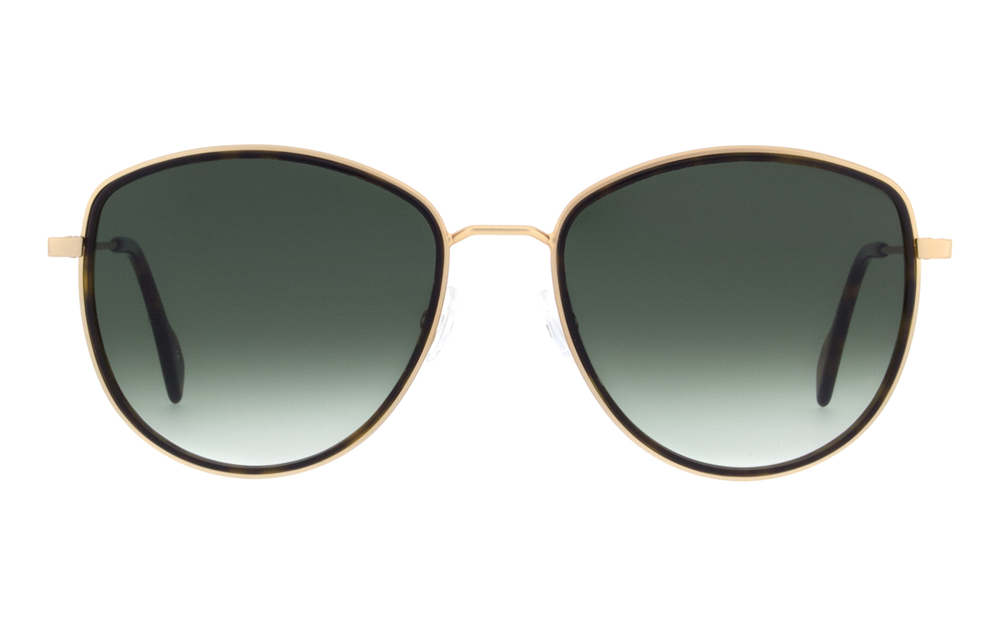 2025_02_ANI_02_front 2025_02_ANI_02_front