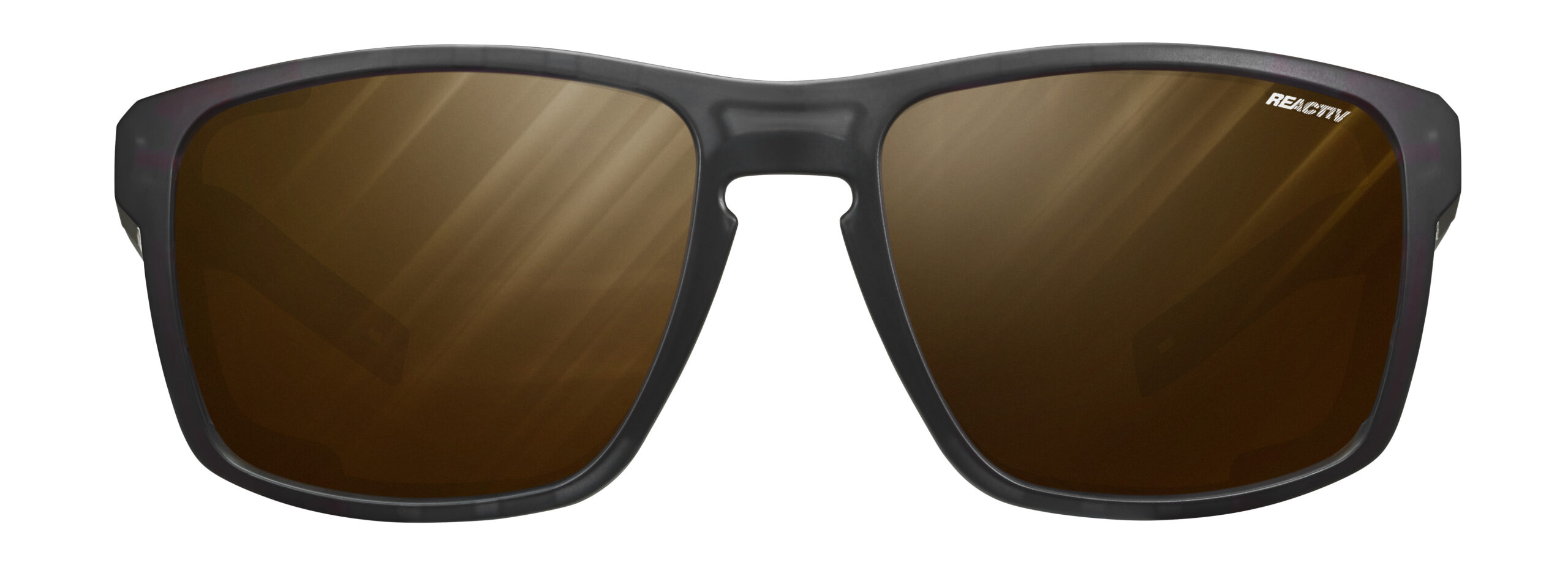 2025_03_shield_J5065014_face-scaled