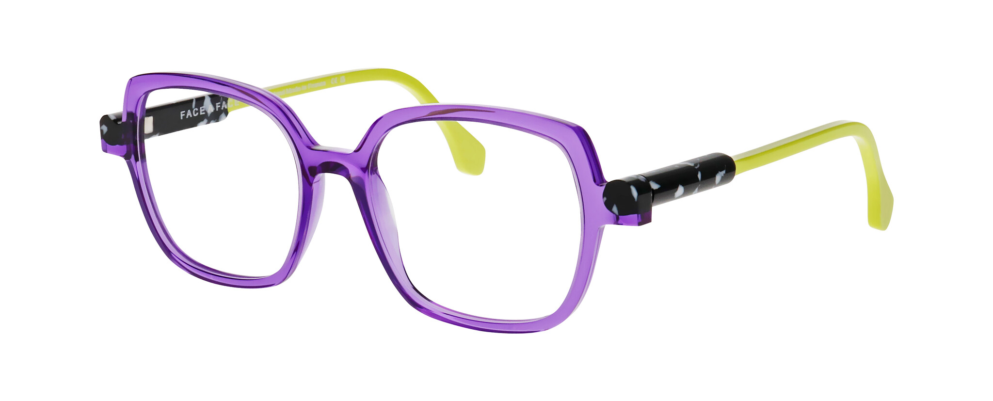 FFKYOTO3_0332 FFKYOTO3_0332