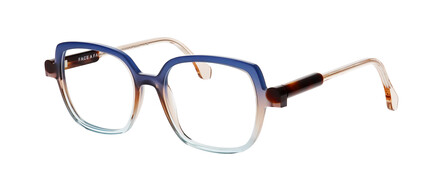 FFKYOTO3_4176_2 FFKYOTO3_4176_2