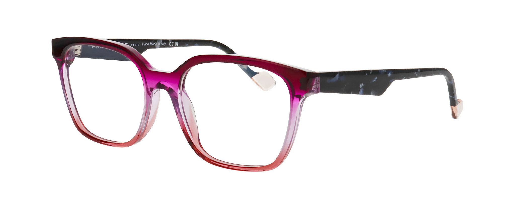 FFMICAH2_4595 FFMICAH2_4595