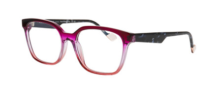 FFMICAH2_4595_2 FFMICAH2_4595_2