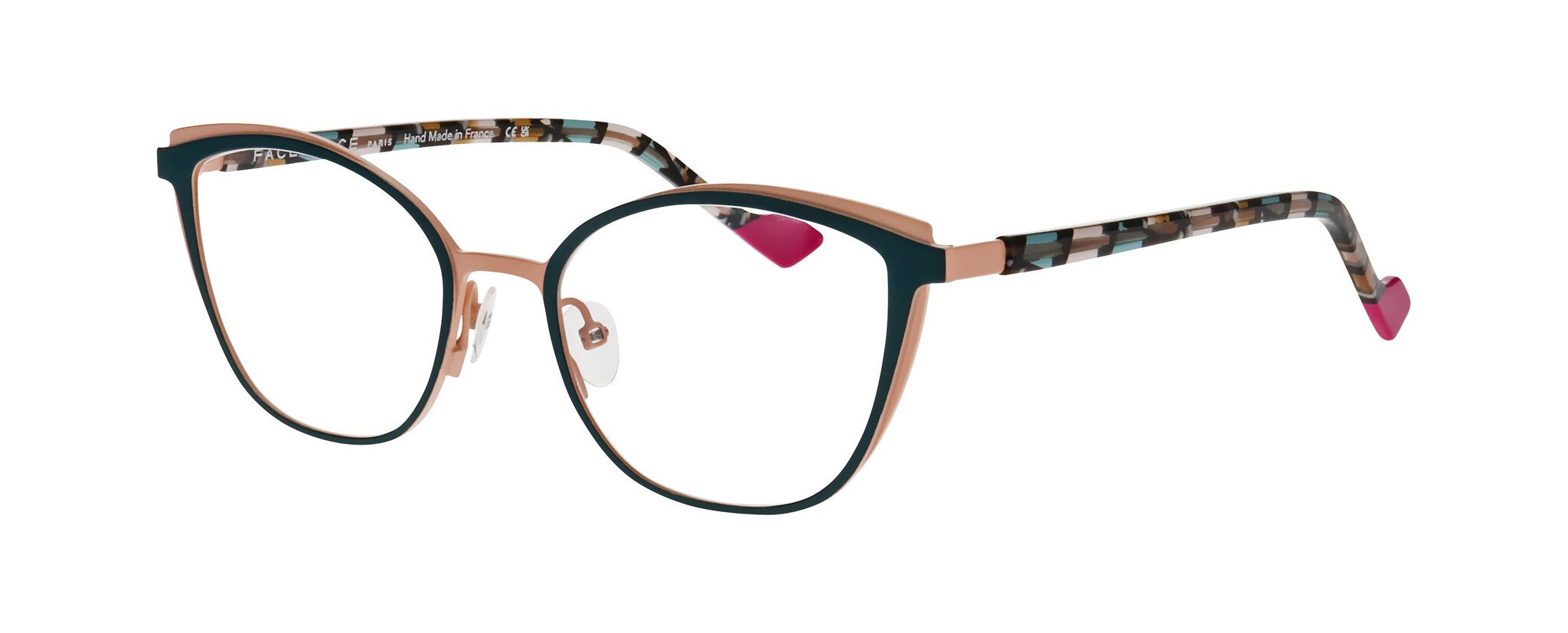 FFNENDO2_9134 FFNENDO2_9134