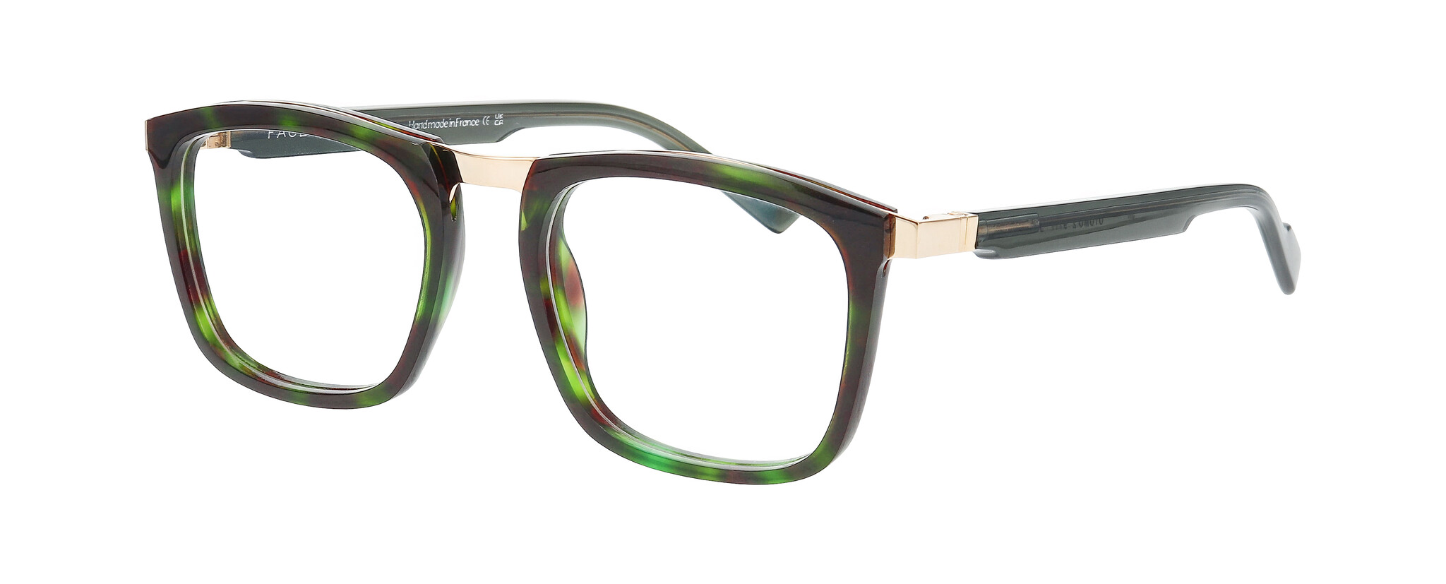 FFOTOMO2_9711 FFOTOMO2_9711